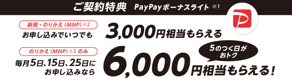 PayPayボーナスライト6000円相当