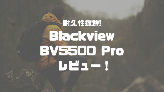 Blackvierw BV5500 PROレビュー