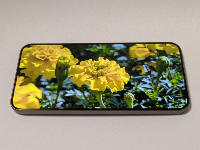 Xiaomi 15T Proのディスプレイをレビュー