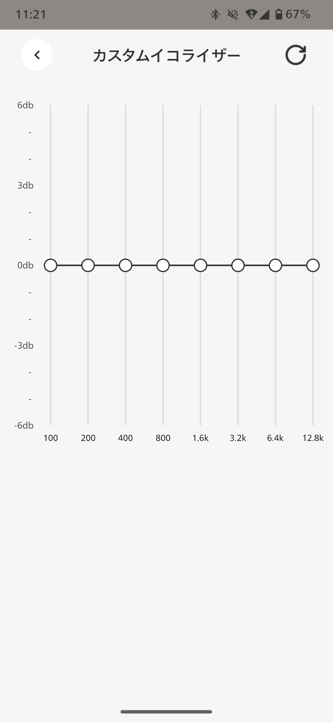 ACEFAST ACEFIT Proのイコライザー