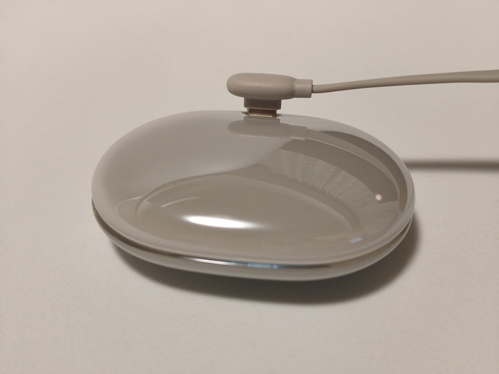 ACEFAST ACEFIT Proの付属品