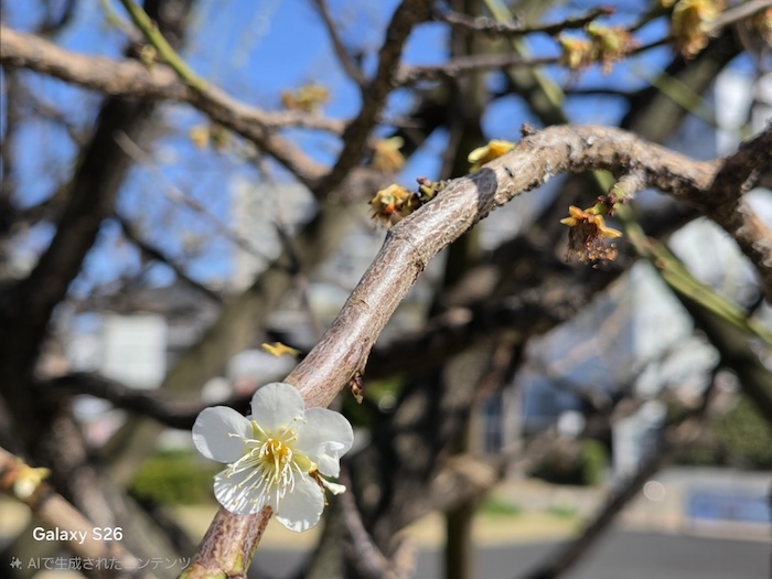 Galaxy S26のオブジェクト移動