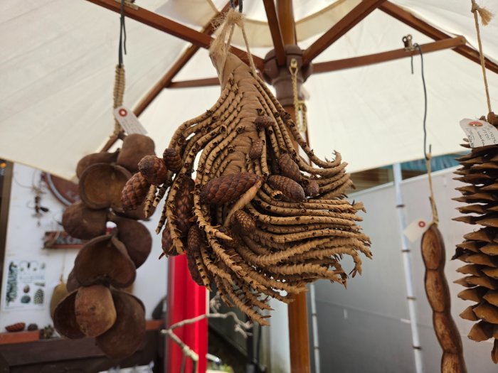 Galaxy S26のポートレートモード