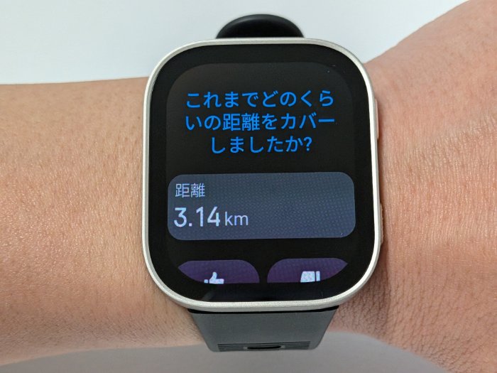 Amazfit Bip MaxのZepp Flow