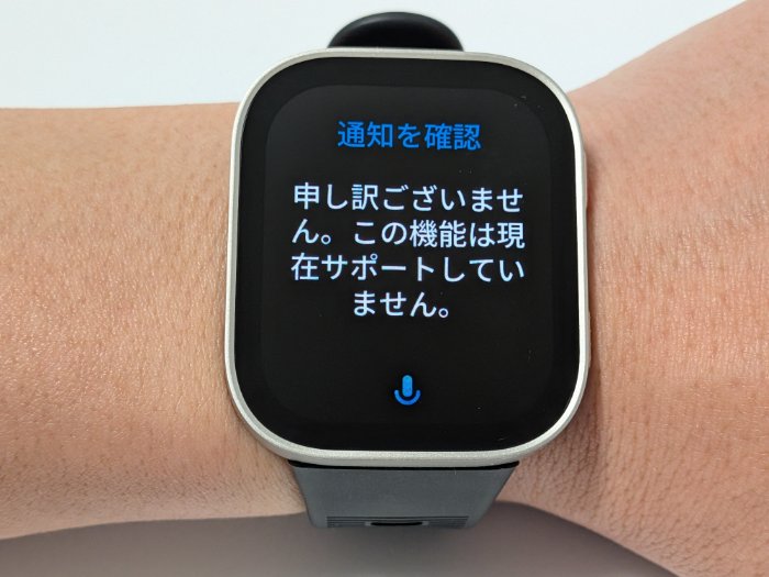 Amazfit Bip MaxのZepp Flow