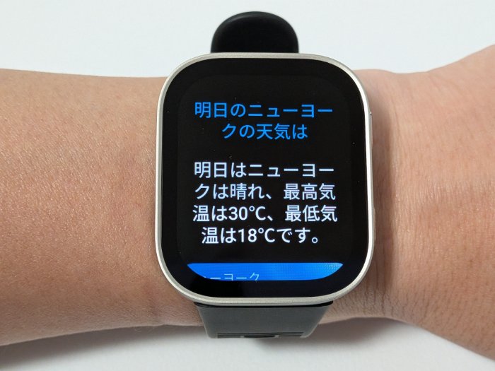 Amazfit Bip MaxのZepp Flow