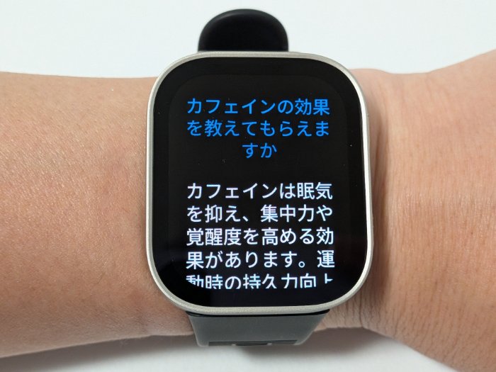 Amazfit Bip MaxのZepp Flow