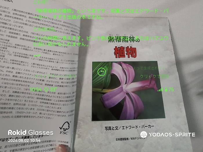 Rokid スマートAIグラスのAI機能