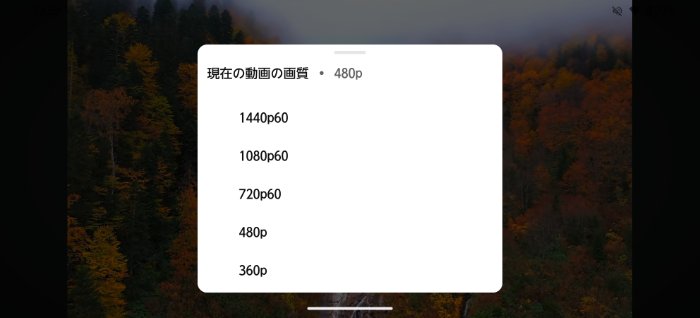 arrows We3はWidevine L1